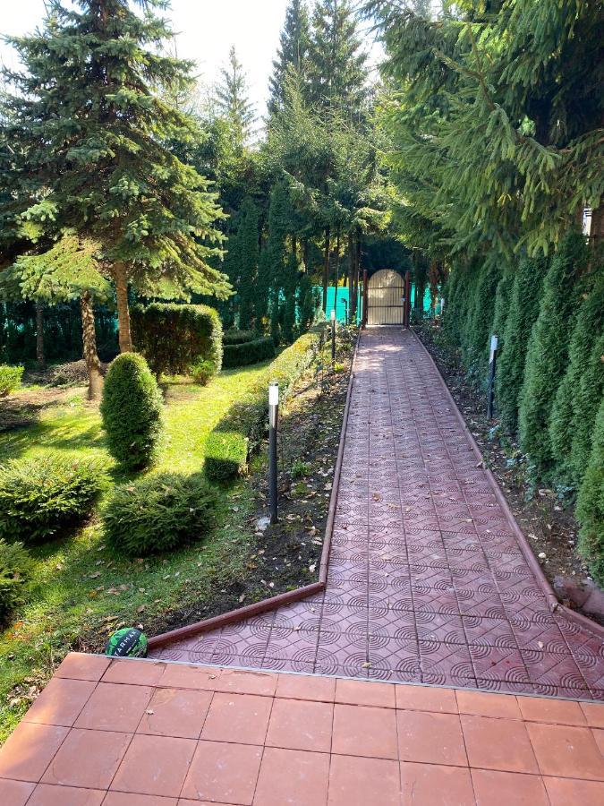 Aparthotel Vila Phoenix Predeal Zewnętrze zdjęcie
