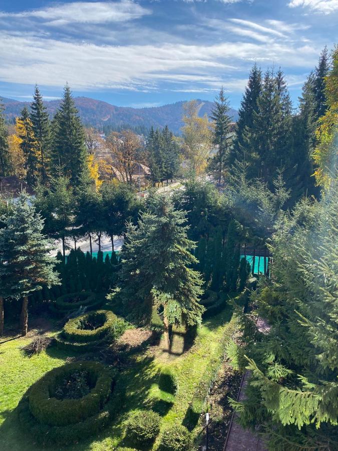 Aparthotel Vila Phoenix Predeal Zewnętrze zdjęcie