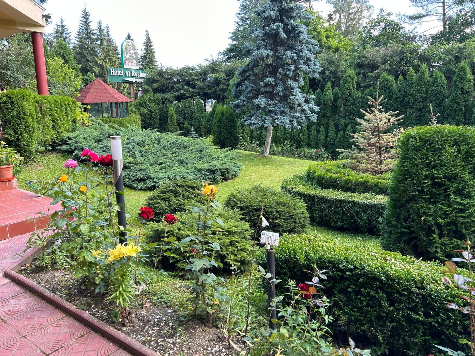 Aparthotel Vila Phoenix Predeal Zewnętrze zdjęcie